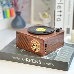 Record Player Wireless Mini Speaker - Tinyminymo