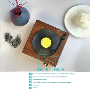 Record Player Wireless Mini Speaker - Tinyminymo